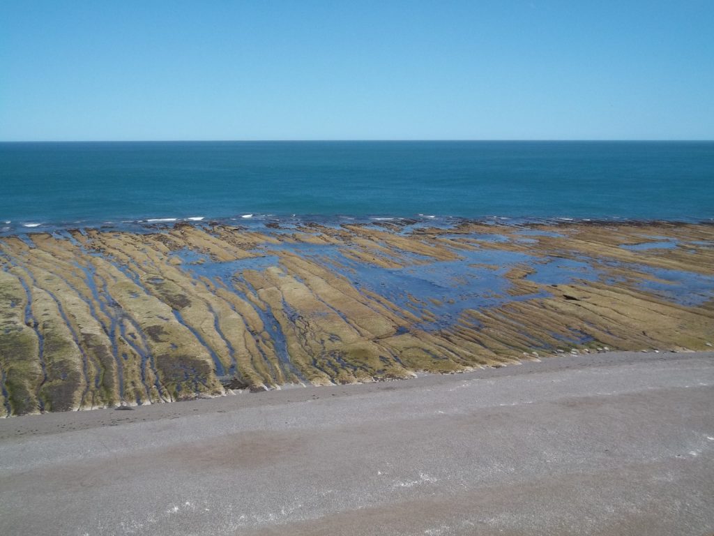 Rives de l'océan Atlantique depuis la péninsule Valdés à proximité de Puerto Madryn en Argentine