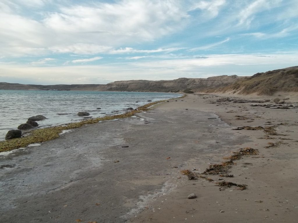 Plage de Puerto Madryn en Argentine