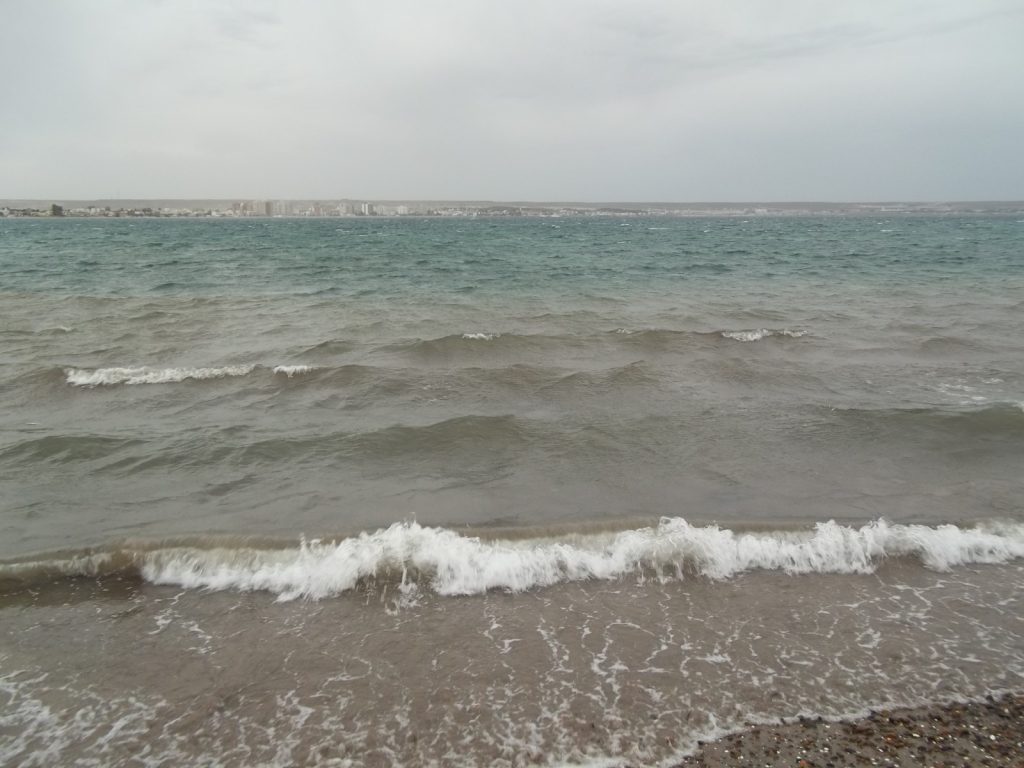 Plage du Golfo Nuevo à Puerto Madryn en Argentine