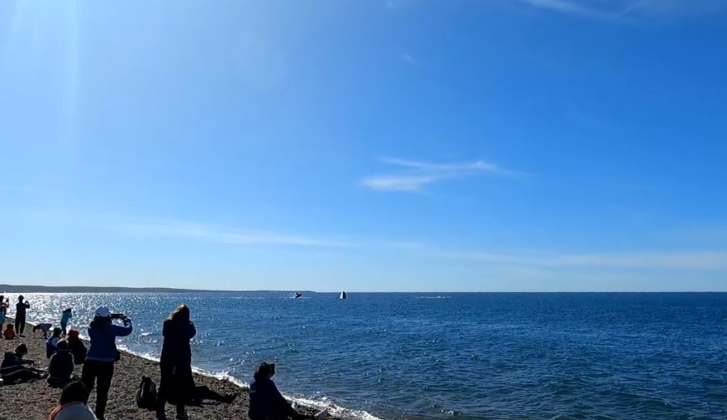 Observation de baleines franches australes depuis la plage del Doradillo à Puerto Madryn en Argentine
