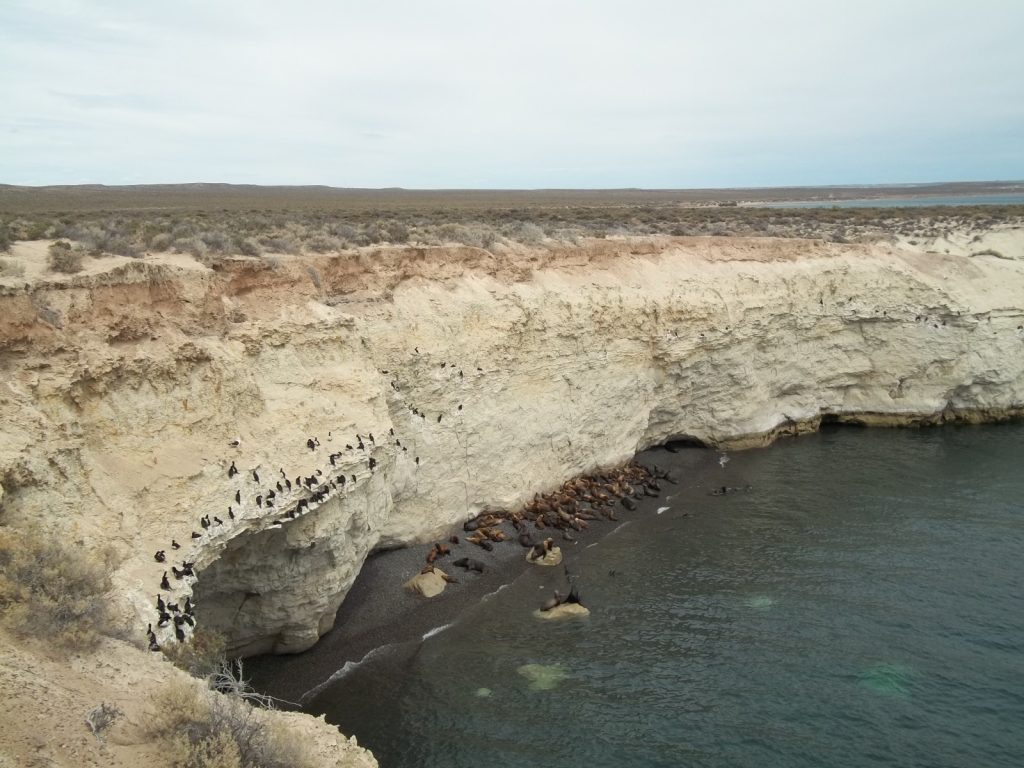 Réserve naturelle de Punta Loma au sud de Puerto Madryn en Argentine