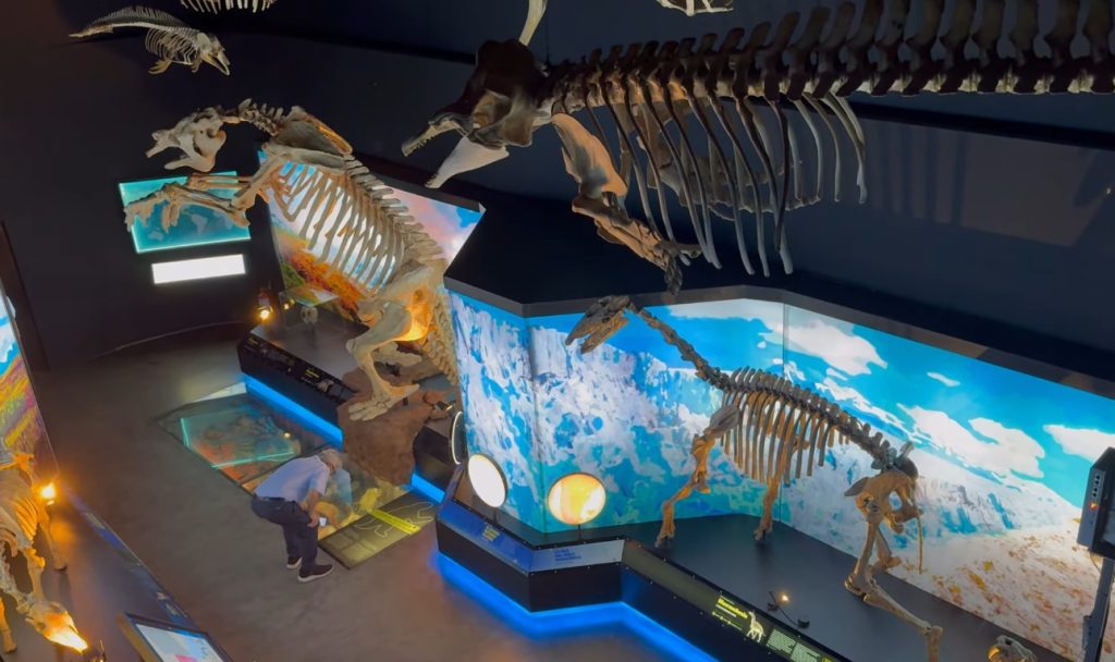 salle d'exposition du musée de paléontologie Egidio Feruglio de Trelew au sud de Puerto Madryn en Argentine