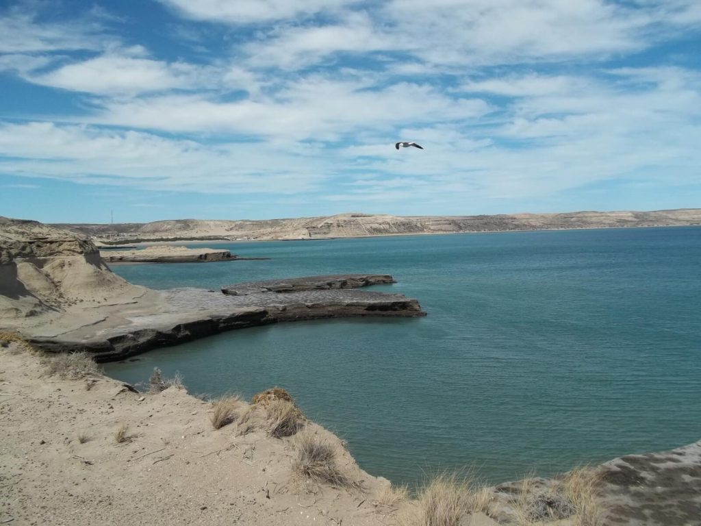 Golfes, falaises découpées et oiseaux migrateurs: paysages typiques de la péninsule Valdés en Argetnine
