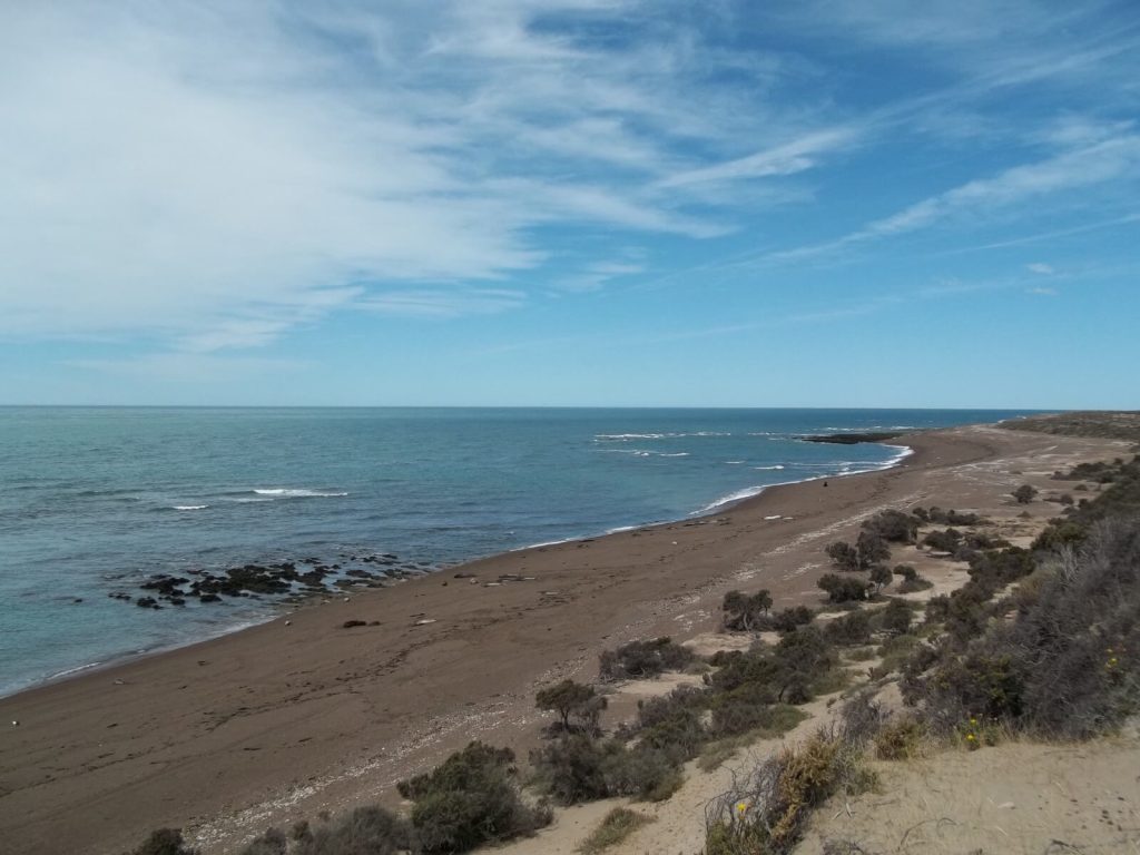 aperçu des plages et cotes arides de la péninsule Valdés en Argentine. La végétation de type "steppe" est essentiellement constituée d'arbustes de petite taille.
