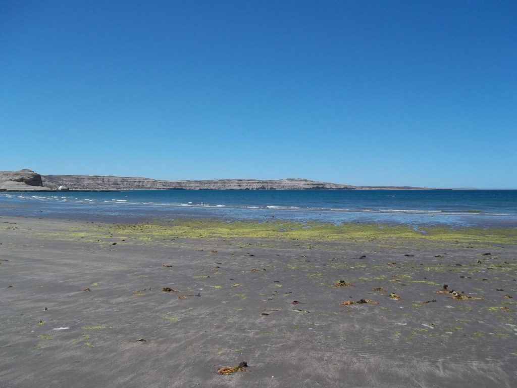 Falaises et plages : paysages typiques de la péninsule Valdés, réserve naturelle en Argentine