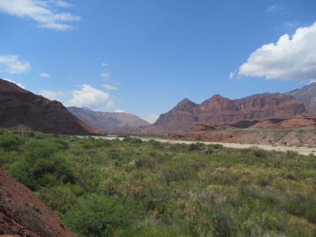 Végétation bordant le Río de las Conchas, le long de la Quebrada de las Conchas en Argentine