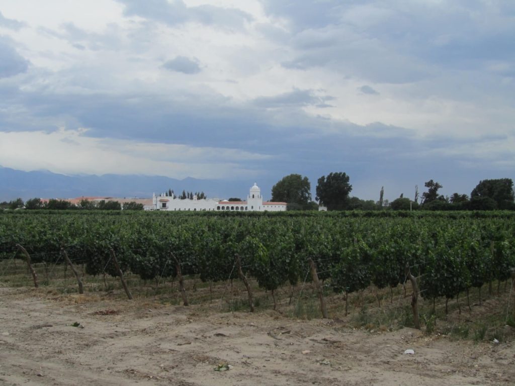 Vignobles de Cafayate, au sud de la Quebrada de las Conchas en Argentine