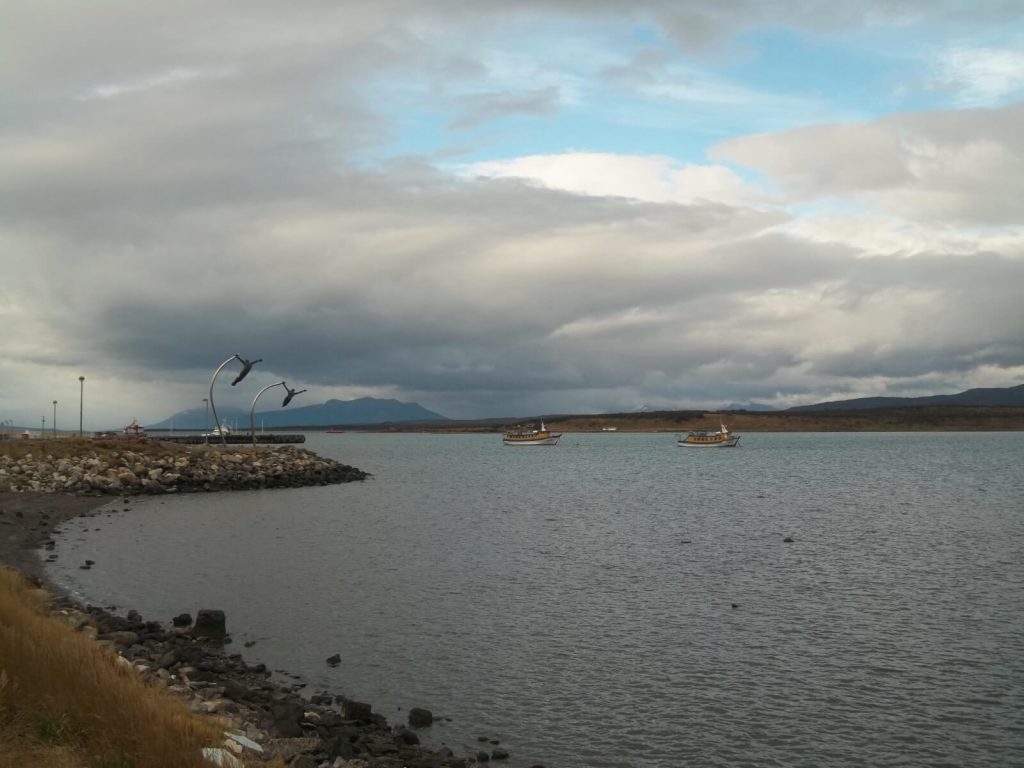 paysage côtier à Puerto Natales en Patagonie chilienne