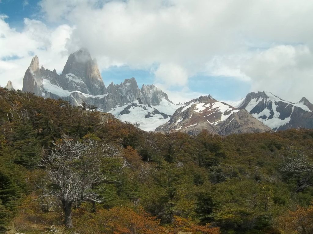 Mont Fitz Roy, avec des forêts au premier plan, en Patagonie argentine