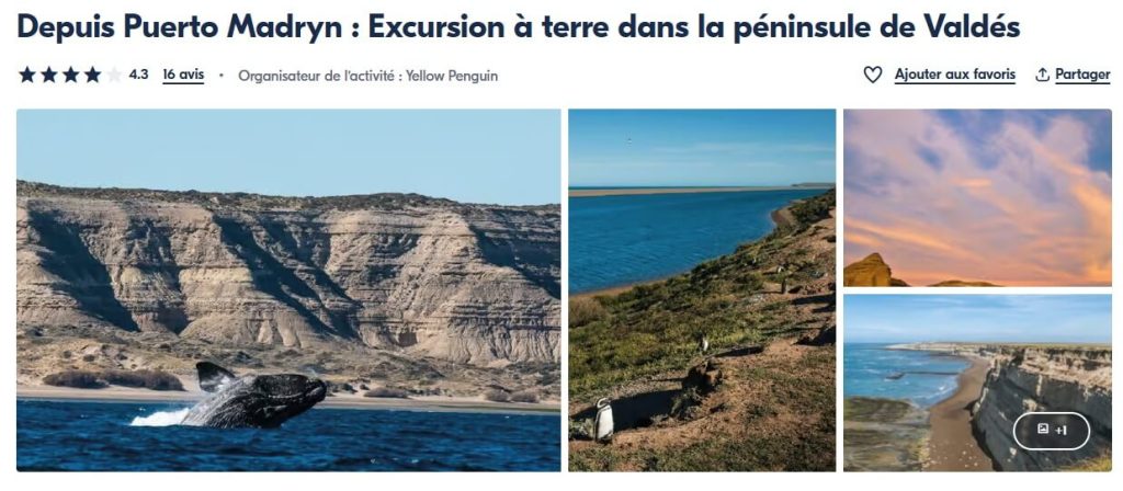 Excursion d'1 jour à la Peninsula Valdes depuis Puerto Madryn