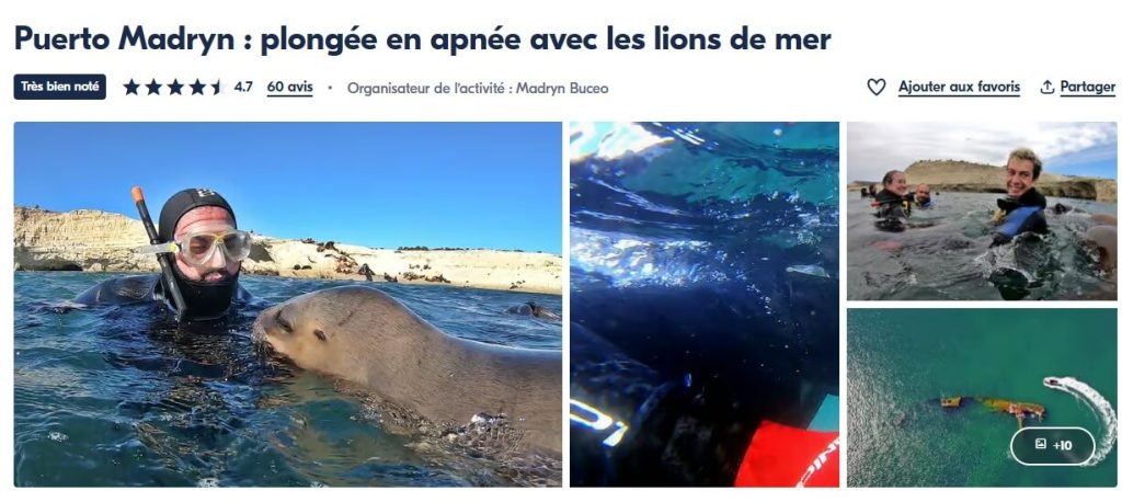Plongée en apenée avec les lions de mer à Puerto Madryn