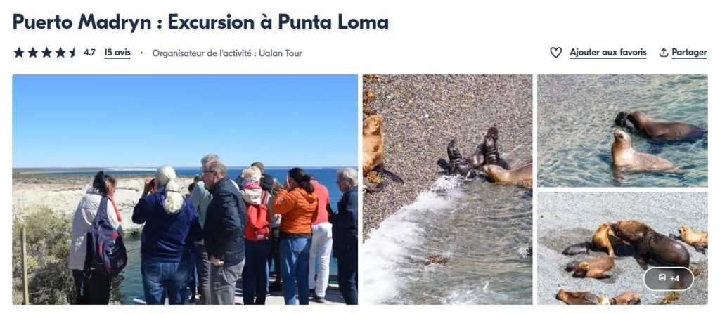 Excursion à Punta Loma au départ de Puerto Madryn