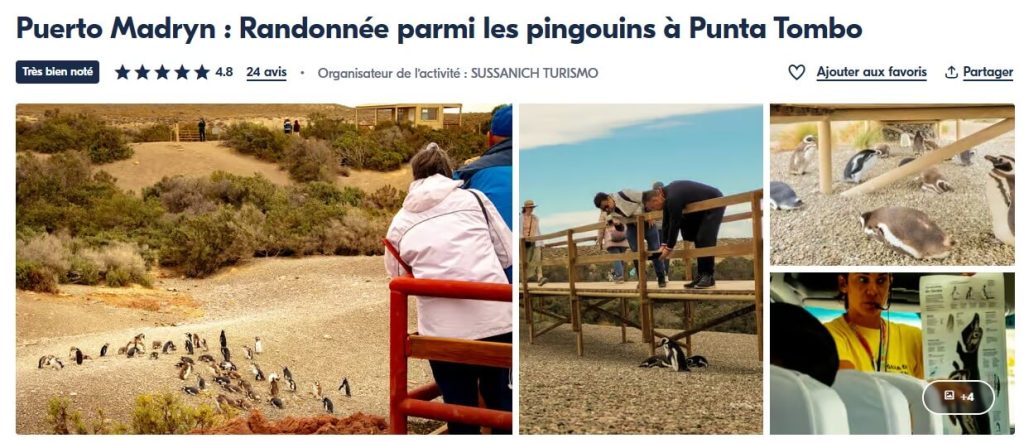 Excursion d'1 jour à Punta Tombo au départ de Puerto Madryn