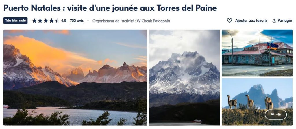 Excursion d'1 journée au Parc Torres del Paine depuis Puerto Natales