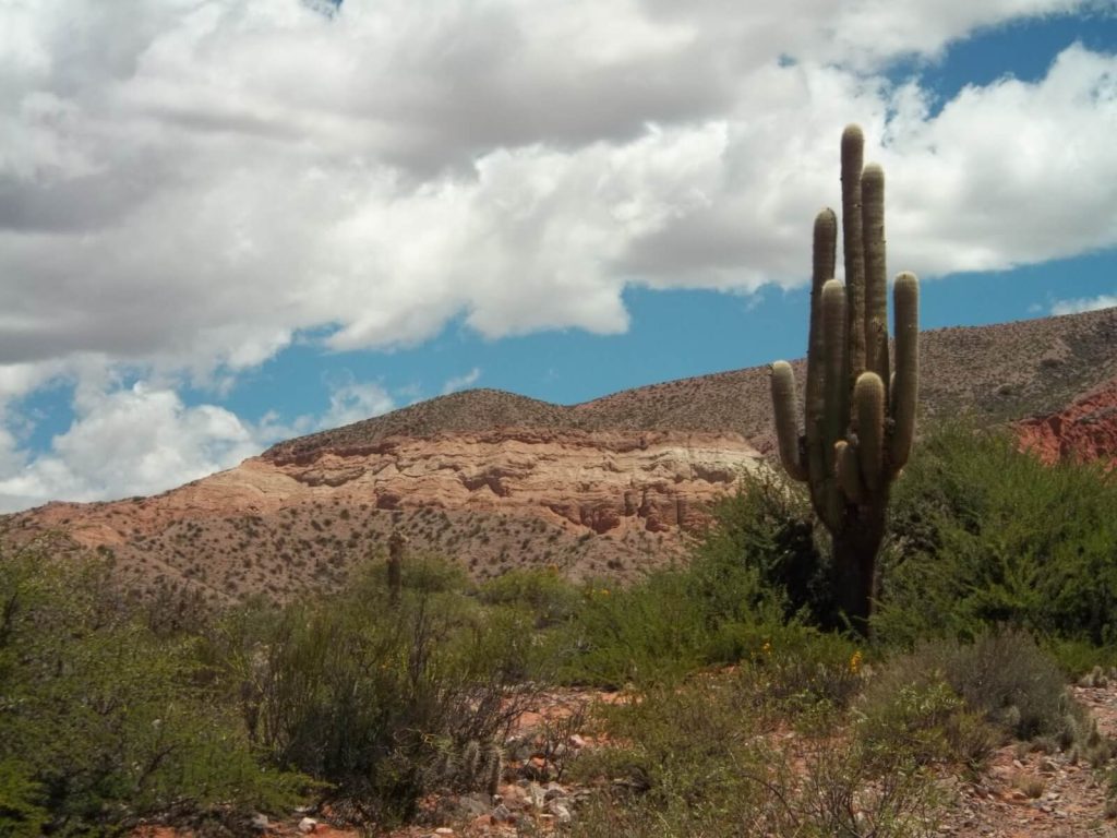 Cactus et montagnes colorées de la Quebrada de Humahuaca