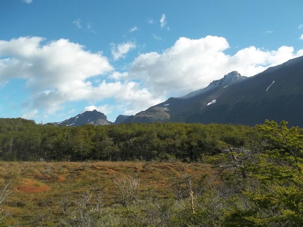 Nature brute du Parc national Terre de Feu en Argentine