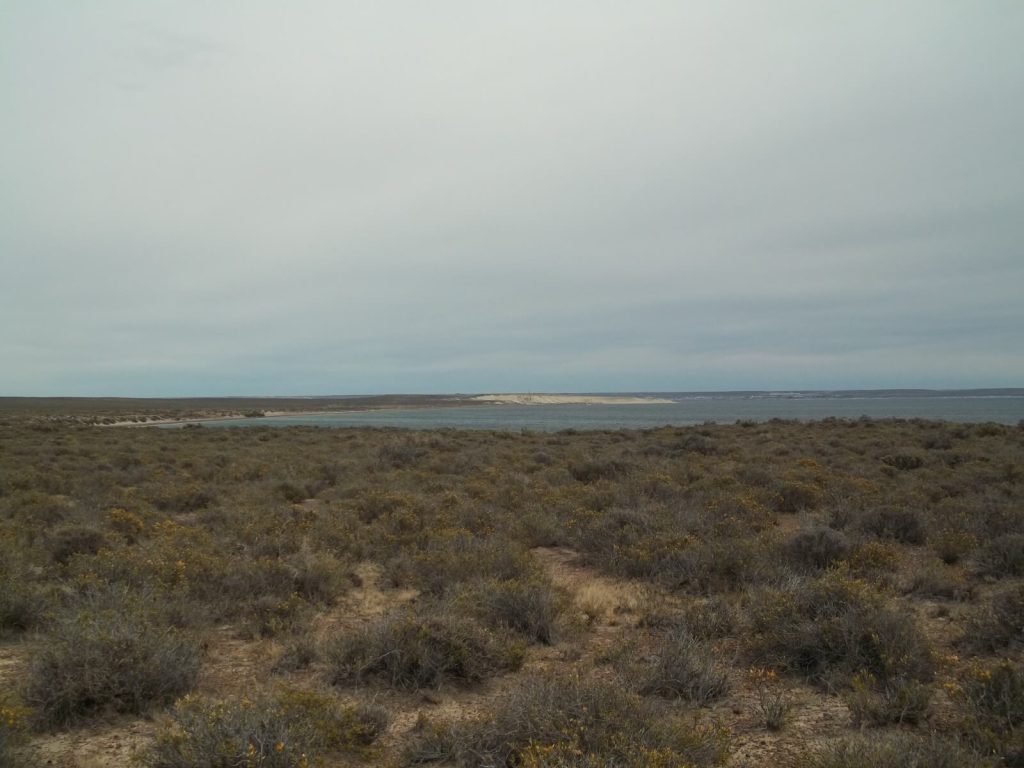 steppes de la région de Puerto Madryn le long de l'océan Atlantique