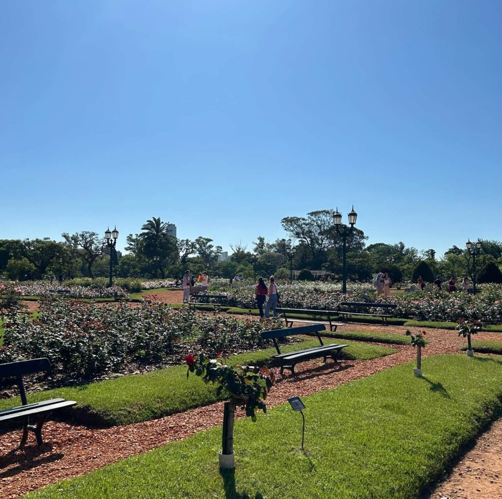 Roseraie du quartier de Palermo à Buenos Aires